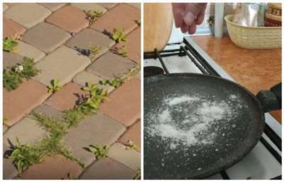 Как избавиться от сорняков и бороться со стреляющим маслом: 12 секретов поваренной соли - milayaya.ru