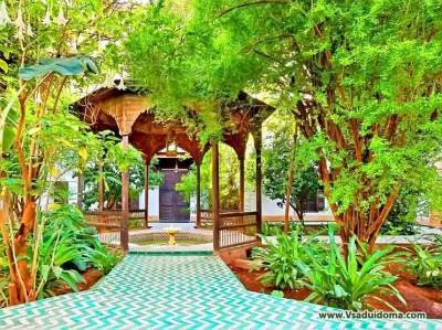 Сад в мавританском стиле (фото) – особенности и растения - sadogorod.club
