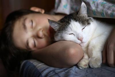 Как приучить кошку спать по ночам? - mur.tv
