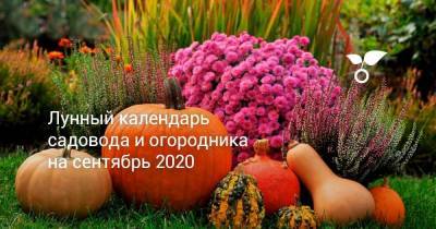 Лунный календарь садовода и огородника на сентябрь 2020 - sadogorod.club
