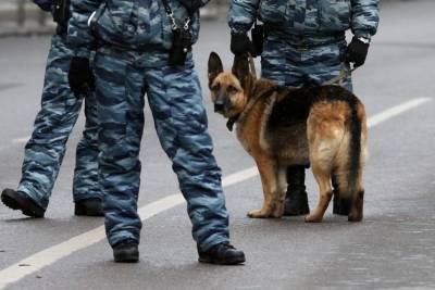 В Петербурге собака спасла девочку от изнасилования - mur.tv - Санкт-Петербург