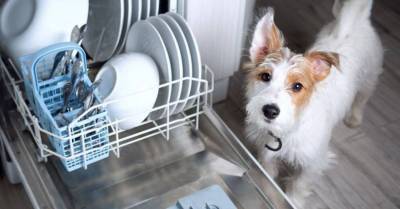 5 способов, как можно увеличить пространство посудомоечной машины - lifehelper.one