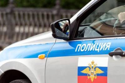 Прикинувшийся гаишником водитель спас школьницу от собак и изнасиловал ее - mur.tv - Казань