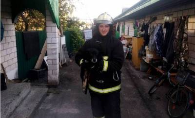 Жалобно скулила и не могла выбраться. В Лельчицах спасатели помогли собаке, упавшей в погреб видео - mur.tv