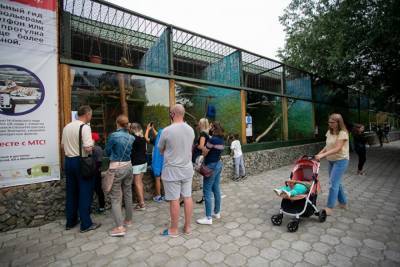 Светлана Прилепина - В Екатеринбурге вновь выбирают новую площадку для расширения зоопарка - mur.tv - Екатеринбург