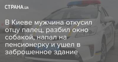 В Киеве мужчина откусил отцу палец, разбил окно собакой, напал на пенсионерку и ушел в заброшенное здание - mur.tv - Киев