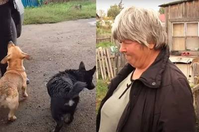 На жительницу Алтая, которая ела собак, завели уголовное дело - mur.tv - республика Алтай
