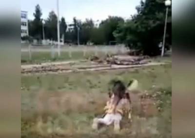 В Башкирии собака напала на детей и повалила девочку на землю - mur.tv - республика Башкирия