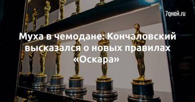 Муха в чемодане: Кончаловский высказался о новых правилах «Оскара» - 7days.ru