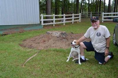 Собака спасла хозяина от смертельно ядовитой змеи - mur.tv - Сша - штат Мичиган