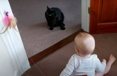 Как трогательно: кот души не чает в 9-месячном младенце - mur.tv - Россия