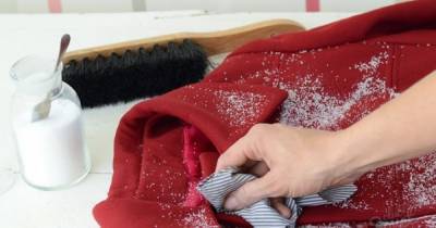 Ключевые советы, как почистить разные виды пальто без похода в химчистку - novate.ru