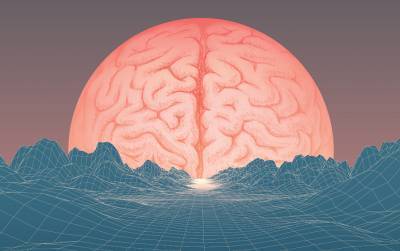 Тест: Все ли вы знаете о работе человеческого мозга? - flytothesky.ru