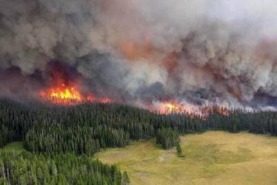 В Госдуму внесли новый законопроект о борьбе с лесными пожарами - kerekuo.ru - Россия