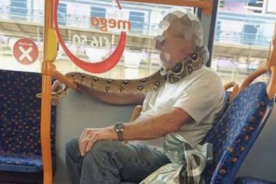 Мужчина надел живую змею как защитную маску и удивил пассажиров - mur.tv - Англия