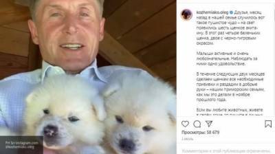 Собака губернатора Приморского края Кожемяко найдена мертвой - mur.tv - Владивосток - Приморье край