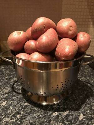 Как и сколько варить картошку - lifehelper.one