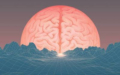 Тест: Все ли вы знаете о работе человеческого мозга? - lifehelper.one