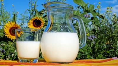 6 продуктов, которые вы всегда употребляли с молоком, не зная, что это вредно - e-w-e.ru