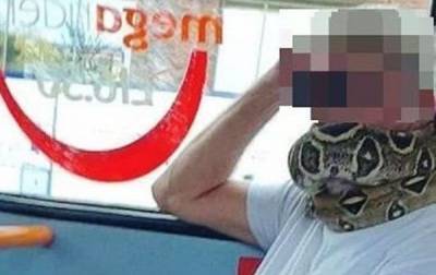 Британец надел живую змею вместо маски - mur.tv - Англия