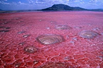Озеро Натрон - смертельная красота Африки - lifehelper.one - Танзания