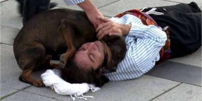 Уличное представление прервала бездомная собака, которая хотела помочь раненному актеру. Теперь он собирается помочь ей найти дом видео - mur.tv