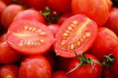 Как собрать и сохранить семена помидоров в домашних условиях - sadogorod.club