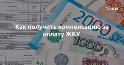 Как получить компенсацию за оплату ЖКУ - 7days.ru - Россия