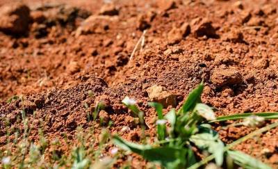 Как улучшить глинистую почву на садовом участке и на огороде? 5 лучших разрыхлителей - nashsovetik.ru