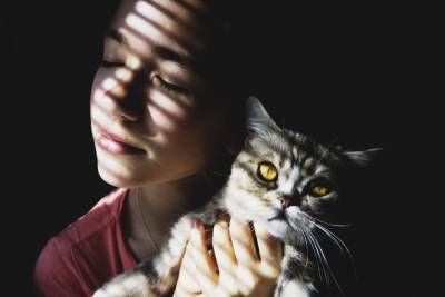 Понимают ли кошки пол человека? - mur.tv