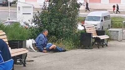 Собака искусала группу пьяных мужчин в Магнитогорске - mur.tv - Магнитогорск