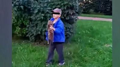 В Ломоносове 8-летний живодёр убил котёнка и запустил бутылкой в пенсионера - mur.tv