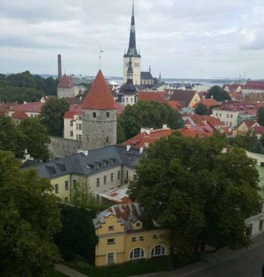 Я живу в Эстонии и расскажу о вещах, которые поражают больше, чем знаменитая медлительность - milayaya.ru - Россия - Санкт-Петербург - Эстония - Таллин