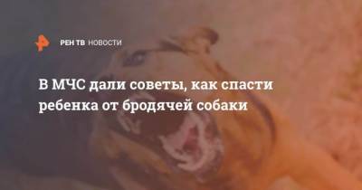 Антон Гладилин - В МЧС дали советы, как спасти ребенка от бродячей собаки - mur.tv - Россия - Москва