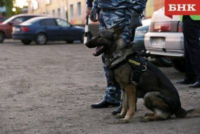 Виктор Бобыря Как - В Корткеросском районе служебная собака помогла найти чайник и приставку - mur.tv - республика Коми