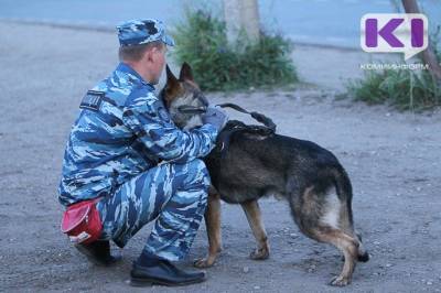 В Корткеросском районе служебная собака помогла полицейским раскрыть серию дачных краж - mur.tv - республика Коми