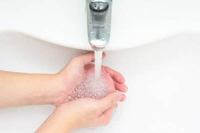 Як відмити руки від горіхів вдома: дієві поради - liza.ua