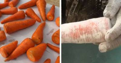 Простой способ сохранить сочную морковь без погреба - lifehelper.one