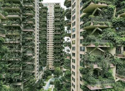 Новый жилой комплекс в Китае зарос зеленью и оккупирован комарами (11 фото + 1 видео) - chert-poberi.ru - Китай - Чэнд