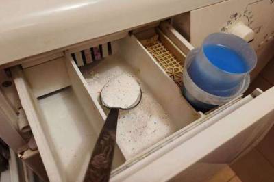 Куда нельзя засыпать стиральный порошок, чтобы машинка служила долго - lublusebya.ru