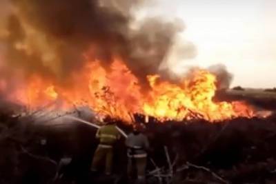 В Черкассах пожарные всю ночь тушили пожар возле зоопарка (видео) - mur.tv - Черкассы - Черкасская обл.