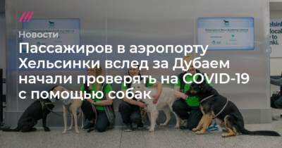 Пассажиров в аэропорту Хельсинки вслед за Дубаем начали проверять на COVID-19 с помощью собак - mur.tv - Хельсинки