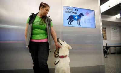 В аэропорту Хельсинки зараженных Covid-19 отсеивают с помощью собак - mur.tv - Хельсинки
