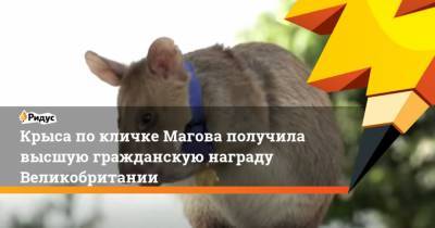 Крыса покличке Магова получила высшую гражданскую награду Великобритании - mur.tv - Англия - Камбоджа