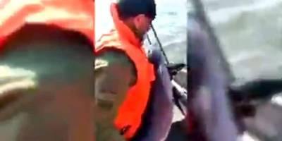 Пограничники спасли в Азовском море запутавшегося в сетях дельфина видео - mur.tv