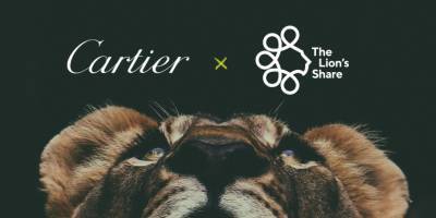 Cartier заключили сотрудничество c The Lion’s Share Fund - vogue.ua