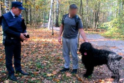 В петербургских парках владельцев собак оштрафовали за нарушения - mur.tv - Санкт-Петербург