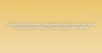Ржавый Mini Cooper, найденный под кучей мусора в гараже спустя 46 лет, был продан за £28 000 - porosenka.net