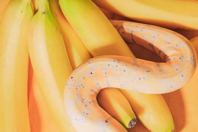 Неожиданный вред бананов: кому их нельзя есть - liza.ua