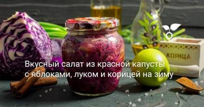 Вкусный салат из красной капусты с яблоками, луком и корицей на зиму - sadogorod.club